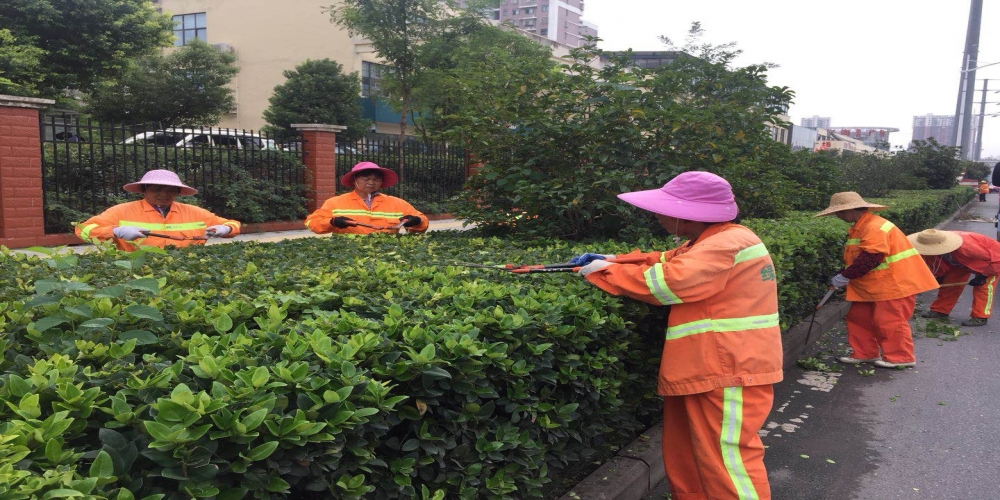 新站區(qū)道路清掃保潔、綠化管養(yǎng)項(xiàng)目